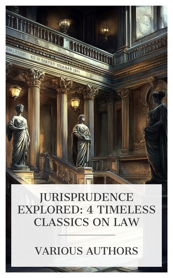 Jurisprudence Explored: 4 Timeless Classics on Law - Beyond the Law Under the Law A Selection of Cases on the Law of Torts The Law and the Word etc - cover