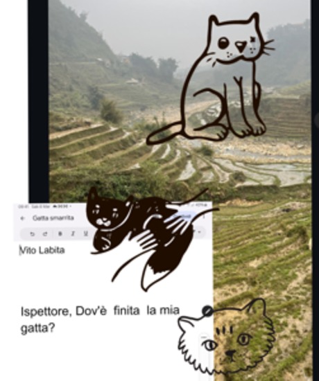 Ispettore Dov'è finita la mia gatta? - cover