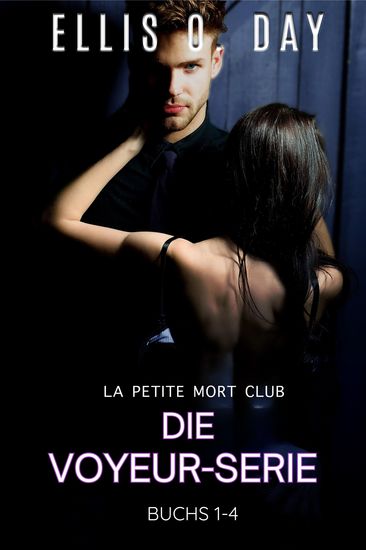 Die Voyeur-Serie - sexy romantischekomodie - cover