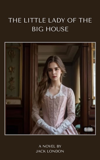 The Little Lady of the Big House - A Tale of Love Conflict and Independence - cover