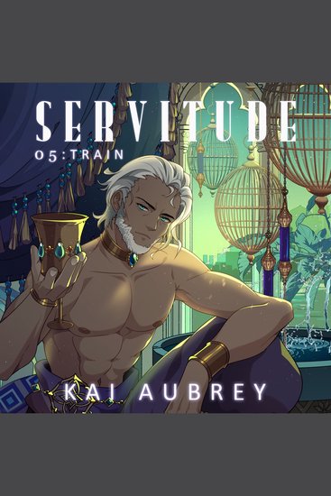 Servitude: Part V - Train (Yaoi Incubus Erotica) - cover