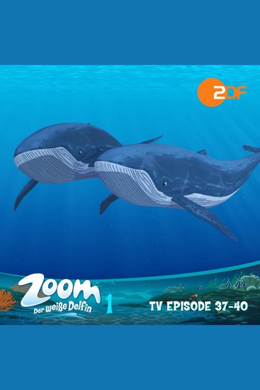 Zoom - Der weiße Delfin: TV Episode 37-40 - Das Original-Hörspiel zur TV-Serie - cover