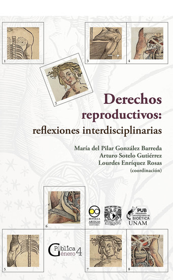 Derechos reproductivos: reflexiones interdisciplinarias - cover