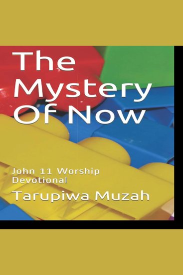 The Mystery Of Now - John 11 Worship Devotional - cover