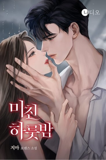 미친 하룻밤 - cover