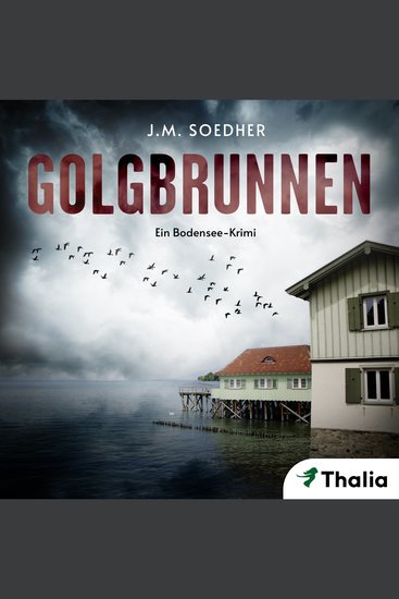 Golgbrunnen - Ein Bodensee-Krimi - cover