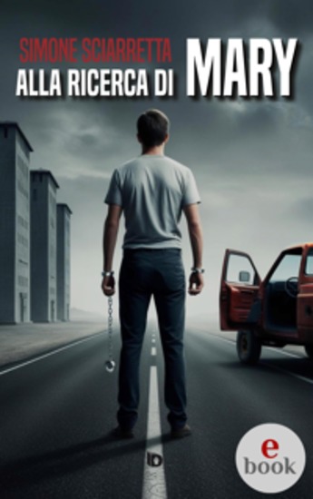 Alla ricerca di Mary - cover