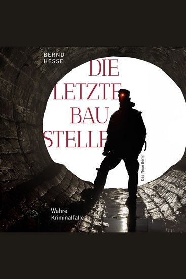 Die letzte Baustelle - Authentische Kriminalfälle Band 3 (ungekürzt) - cover