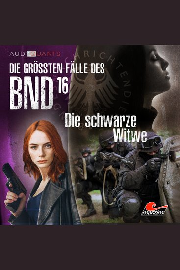 Die größten Fälle des BND Folge 16: Die schwarze Witwe - cover