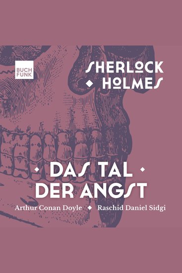 Das Tal der Angst - Sherlock Holmes - Die Romane Band 4 (ungekürzt) - cover