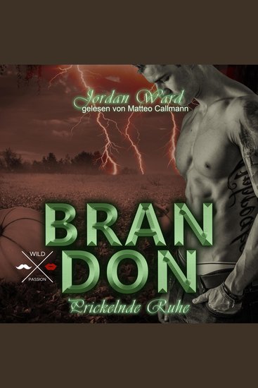 Brandon - Secret Desire - Prickelnde Ruhe Band 3 (ungekürzt) - cover