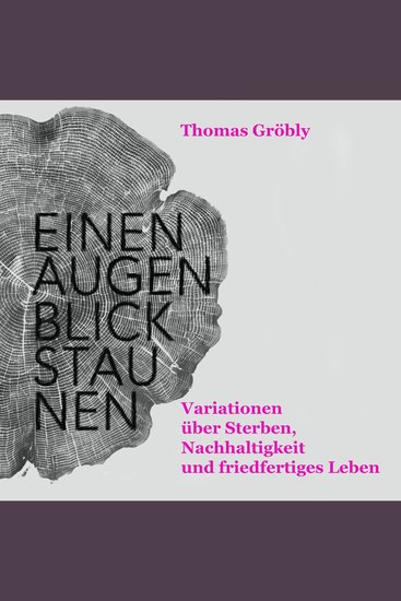Einen Augenblick staunen - Variationen über Sterben Nachhaltigkeit und friedfertiges Leben (ungekürzt) - cover