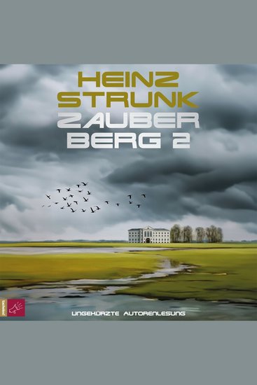 Zauberberg 2 (ungekürzt) - cover
