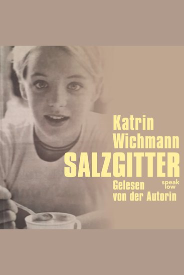 Salzgitter (Ungekürzt) - cover