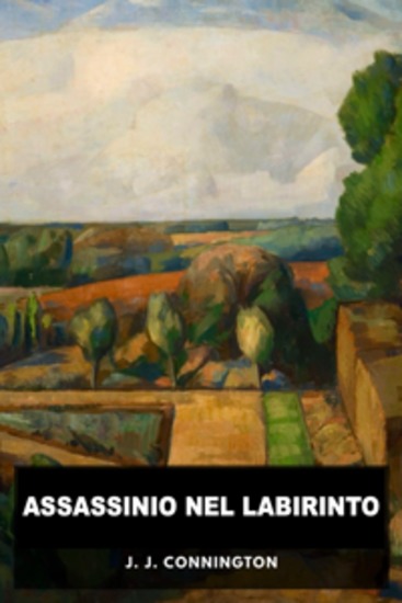 Assassinio nel labirinto - Un enigma tra ombre e inganni - cover