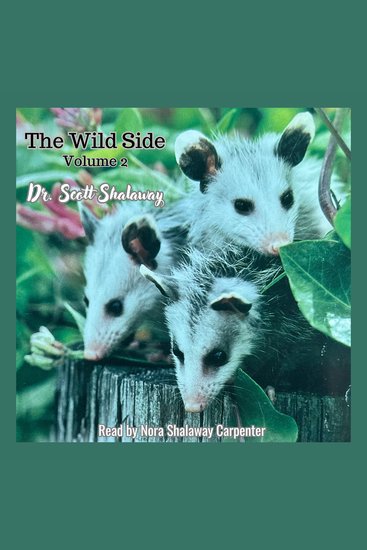 The Wild Side Volume 2 - cover