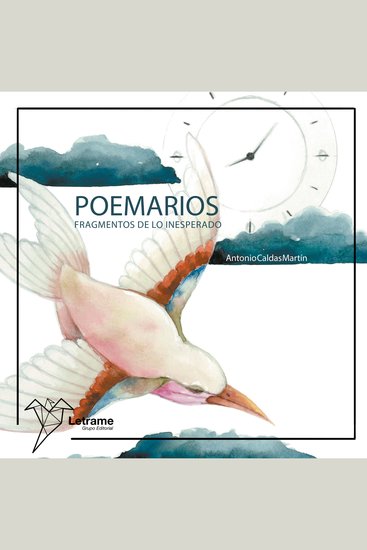 Poemario: Fragmentos de lo inesperado - cover