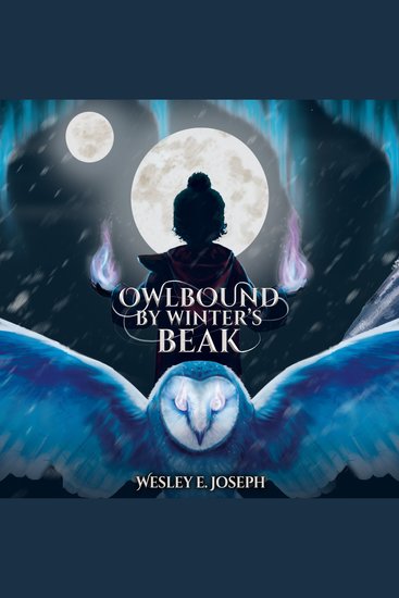 Owlbound by Winter's Beak - cover