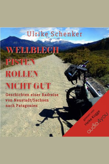 Wellblechpisten rollen nicht gut - Geschichten einer Radreise von Neustadt Sachsen nach Patagonien - cover