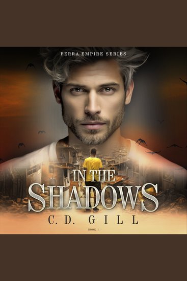 In the Shadows - Rag-to-Riches Clean Suspense - cover