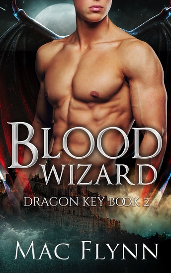 Blood Wizard - Dragon Shifter Romance - cover