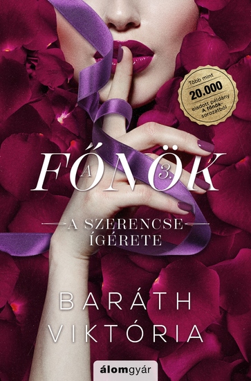 A szerencse ígérete - cover