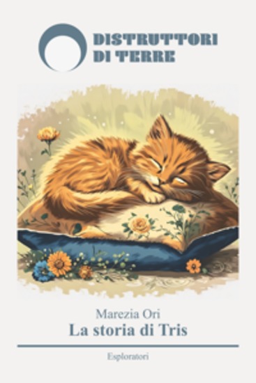 La storia di Tris - cover