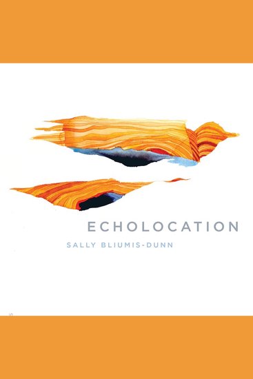 Echolocation - cover