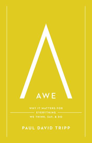 Awe (with Study Questions) - Why It Matters for Everything We Think Say and Do - cover
