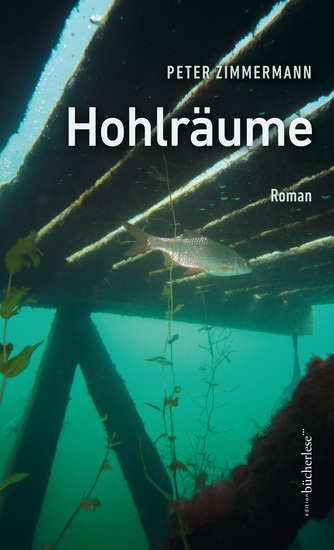 Hohlräume - Roman - cover
