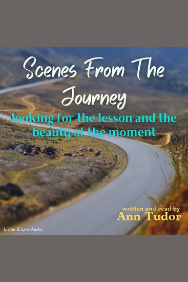 Scenes From The Journey - looking for the lesson and the beauty of the moment - cover