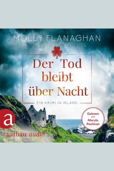 Der Tod bleibt über Nacht - Ein Krimi in Irland - Fiona O'Connor ermittelt Band 2 (Ungekürzt) - cover
