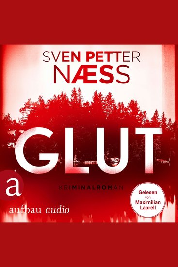 Glut - Team Oslo ermittelt Band 1 (Gekürzt) - cover