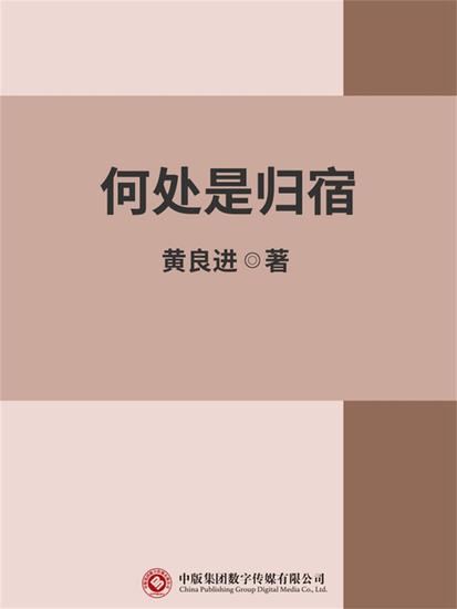 何处是归宿 - cover