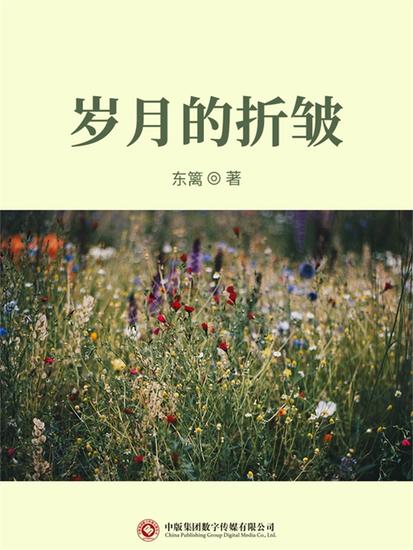 岁月的折皱 - cover