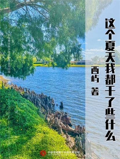 这个夏天我都干了些什么 - cover