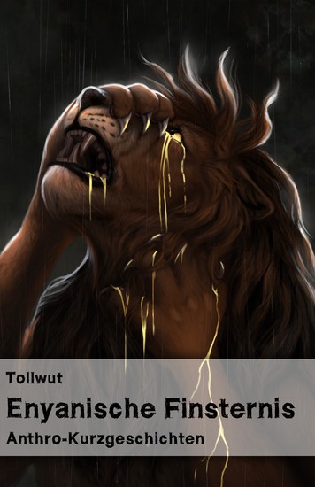 Enyanische Finsternis - cover