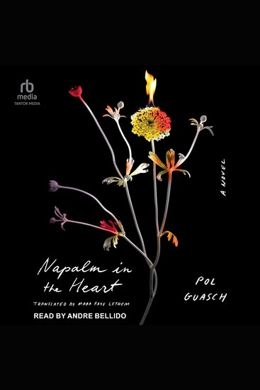Napalm in the Heart - A Novel - cover