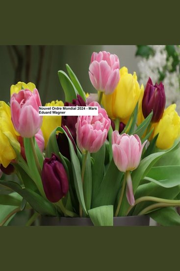 Nouvel Ordre Mondial 2024 Mars - cover