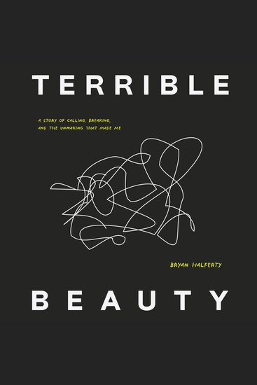 Terrible Beauty - A Story of Calling Breaking and the Unmaking that Made Me - cover