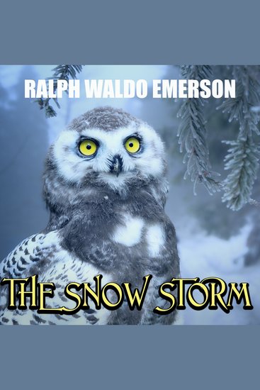 The Snow Storm - cover