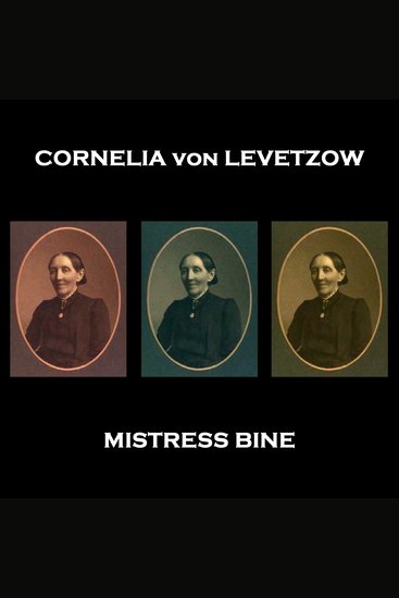 Mistress Bine - Story from a popular Danish female 19th century author - cover