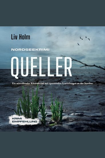 Nordseekrimi Queller: Ein mitreißender Küstenkrimi mit spannenden Ermittlungen an der Nordsee - Krimi Empfehlung - cover