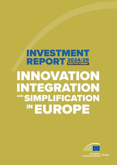 EIB Investment Report 2024 2025 - Executive summary - Innovation integration and simplification in Europe - cover