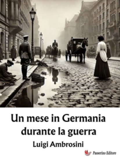 Un mese in Germania durante la guerra - cover