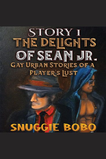 Story 1: The Delights of Sean Jr - Gay Urban Stories of a Player's Lust - cover