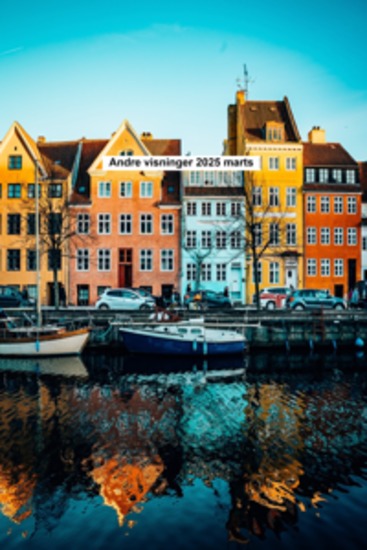 Andre synspunkter 2025 Marts - cover