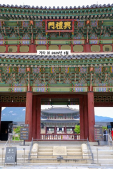 기타 견해 2025년 3월 - cover