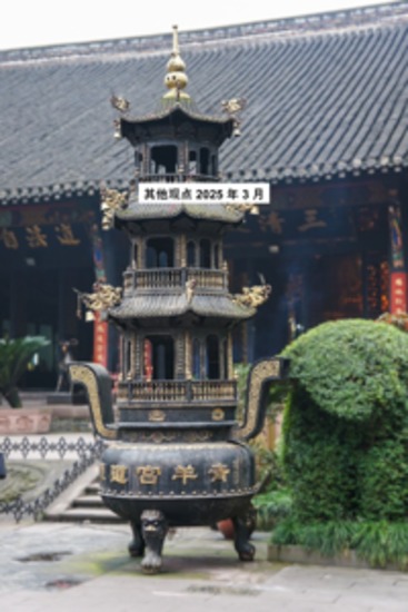 其他观点 2025 年 3 月 - cover