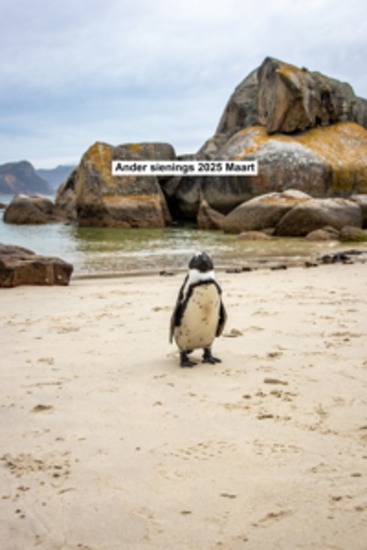 Ander sienings 2025 Maart - cover